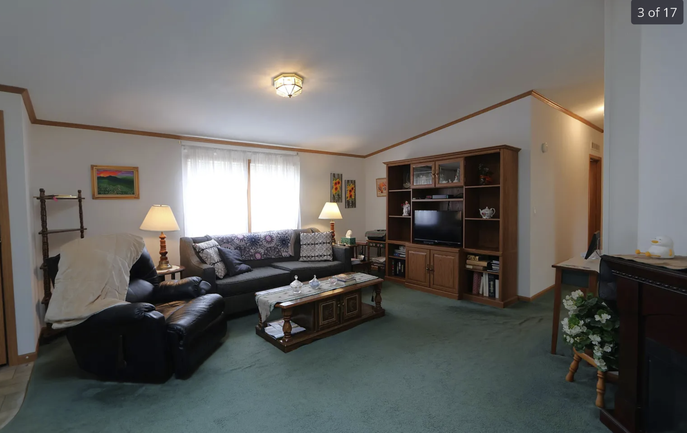 Dated family room with green carpet before virtual staging